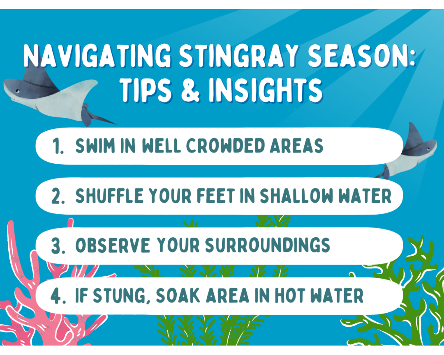 Stingray tips