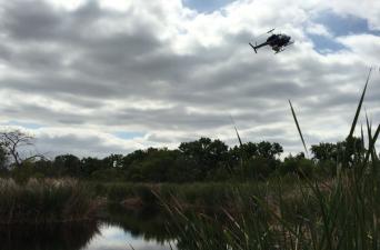 County to Conduct First Mosquito-fighting Larvicide Drop of 2025