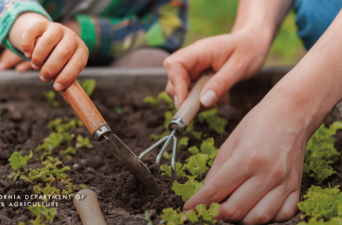 CDFA Gardening