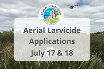 Clean Up to Prevent Mosquitoes!