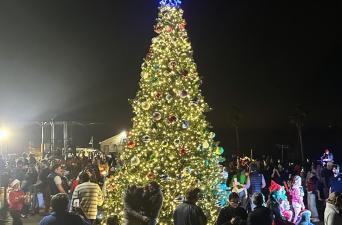 Tree Lighting