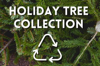 Holiday Tree Recycling 2025-26