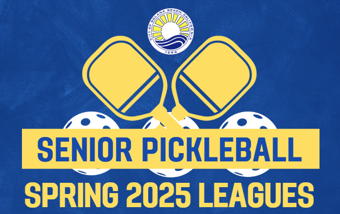 Pickleball poster
