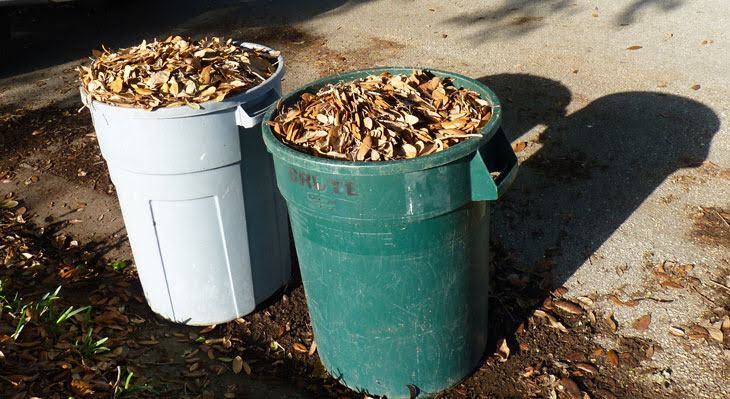 Yard leaves