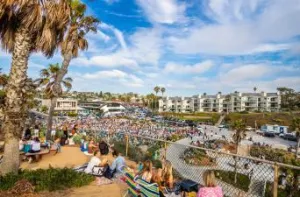 Concerts at the Cove Presents: 