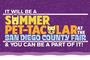 County Fair Street Banner Community Photoshoot