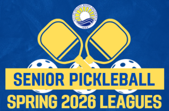 Pickleball poster