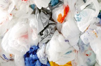 plastic bags