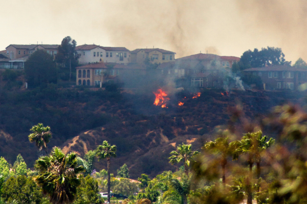 Wildfire